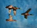 mallards flying watercolor birds